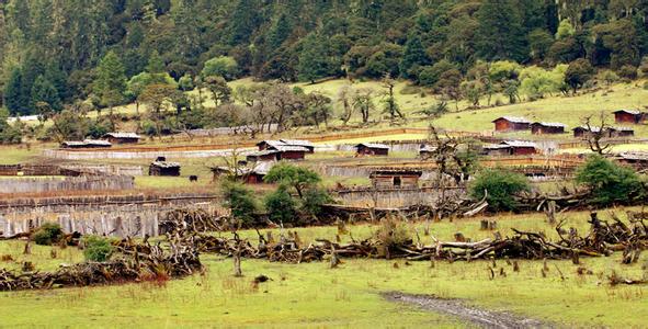 多巴村最新天气预报,多巴村最新天气预报