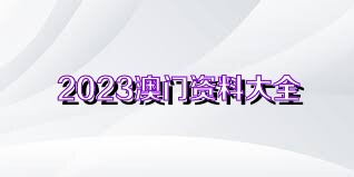 关于新澳正版资料最新更新，全面解答与深入解释（2023年更新）,2025新澳正版资料最新更新,全面解答解释落实_x356.43.75