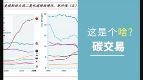 澳门一肖一马彩票预测与综合解答，迈向准确预测的未来展望（2025年）,2025年澳门一肖一马期期准,综合解答解释落实_ku21.74.89